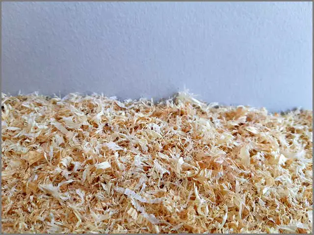 A sawdust close up