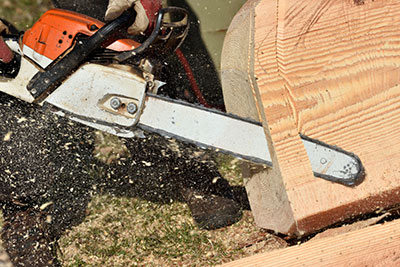 Are Chainsaw Bars Interchangeable