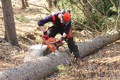 A man cuts through a log with a chainsaw