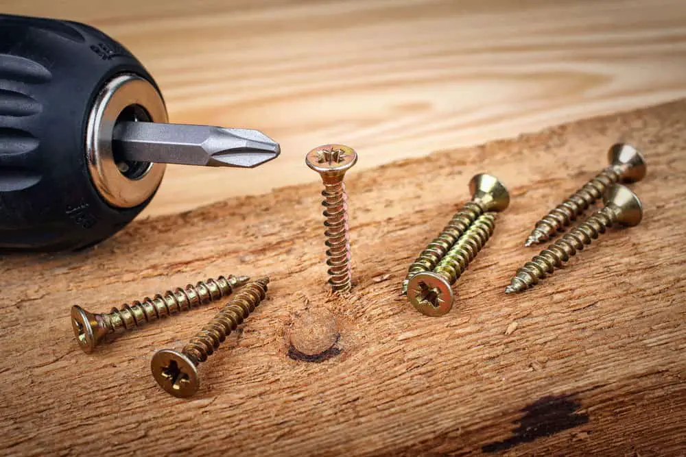 Image of wood screws drilled into a piece of wood.