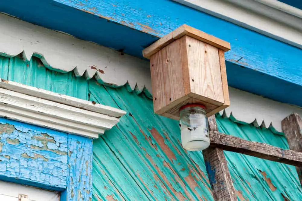 Carpenter bee traps can safely house bees and prevent them from doing too much damage.