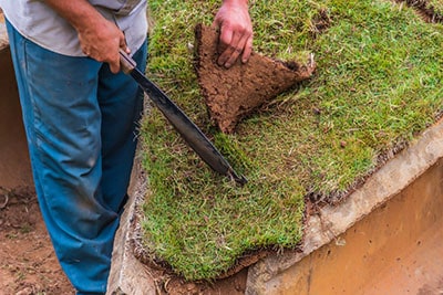 Best Tools for Cutting Sod