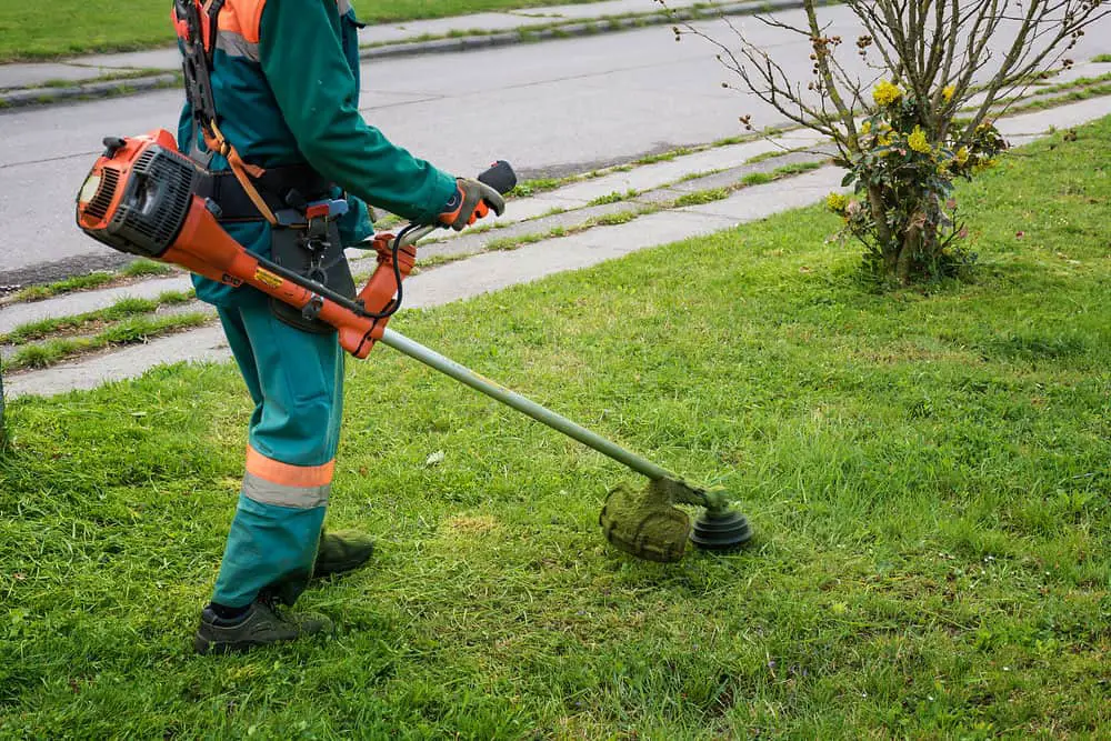 A man using a brush cutter.