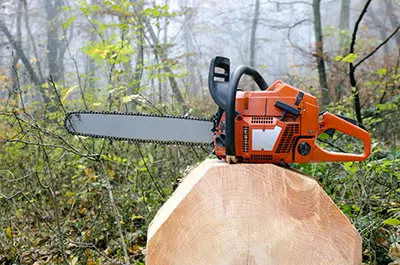 Chainsaw picture