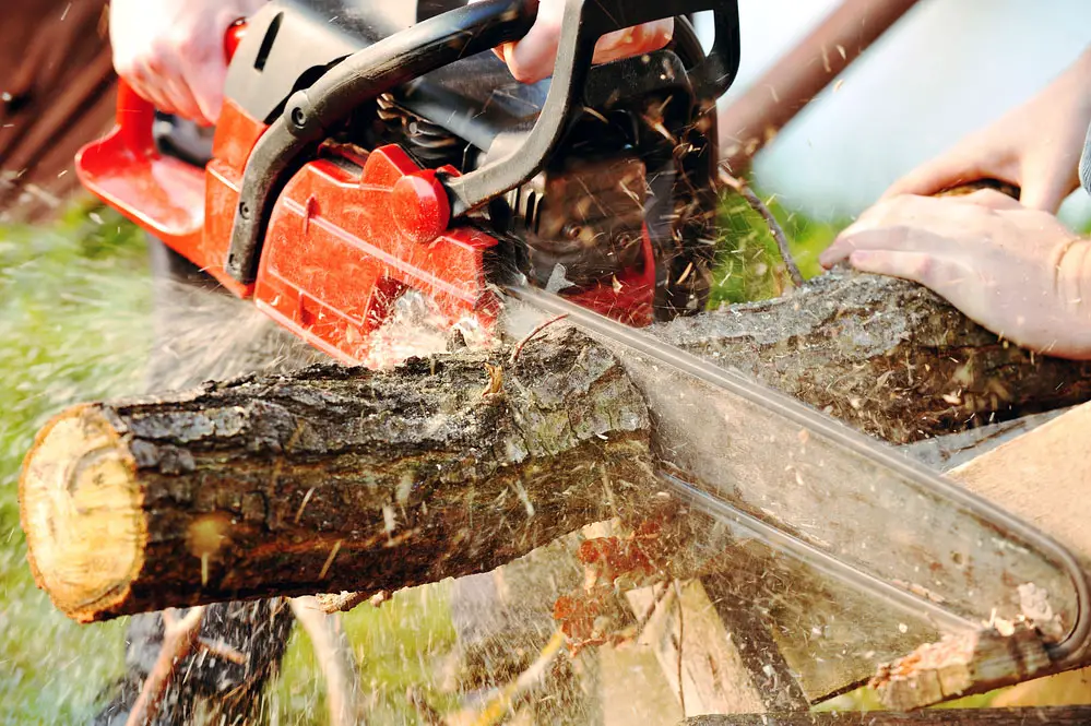 A chainsaw at work