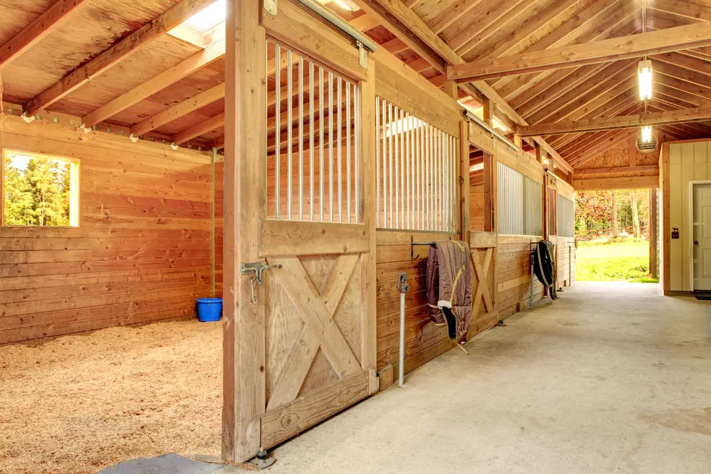 wood chips in the barn