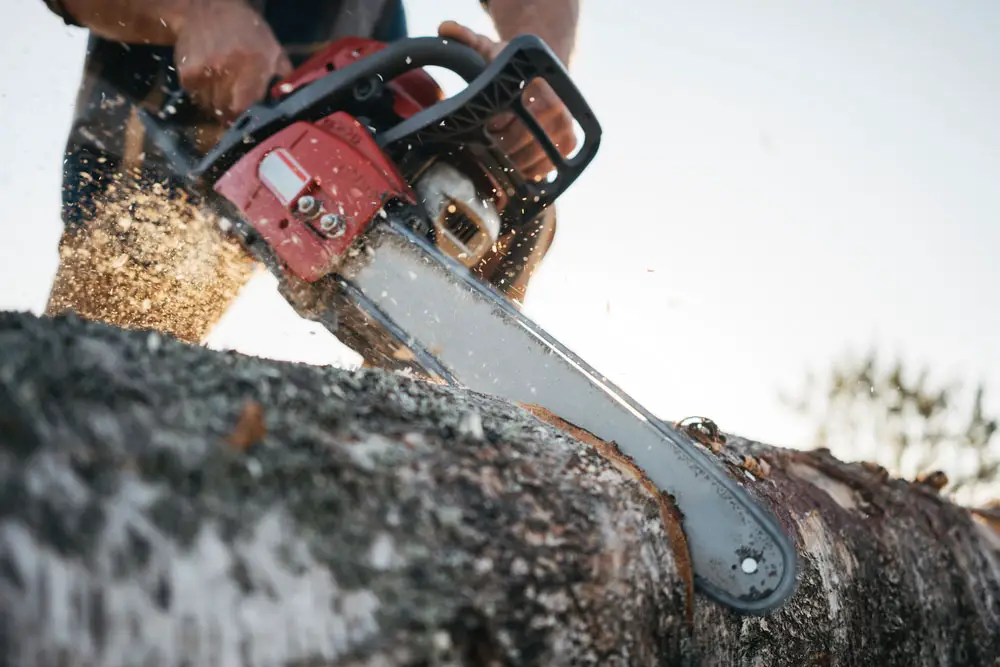 Cutting wood with a chainsaw